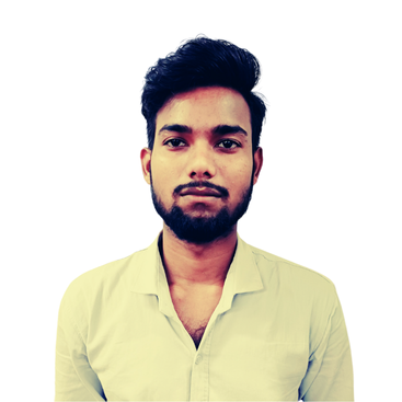 Kapil (Ecommerce Executive)