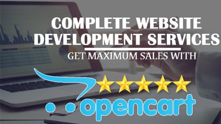 opencart product entry services