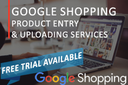Google Shopping Product Entry & Uploading Services