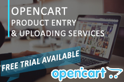 opencart product entry services