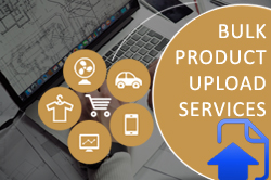 Bulk Product Upload Services