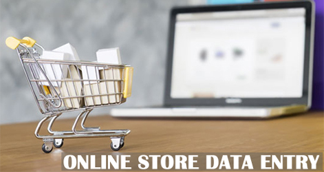Online Store Data Entry